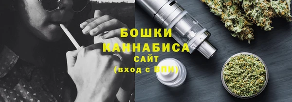 шишки Слюдянка
