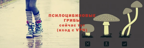 винт Медвежьегорск
