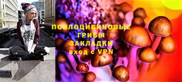 винт Медвежьегорск