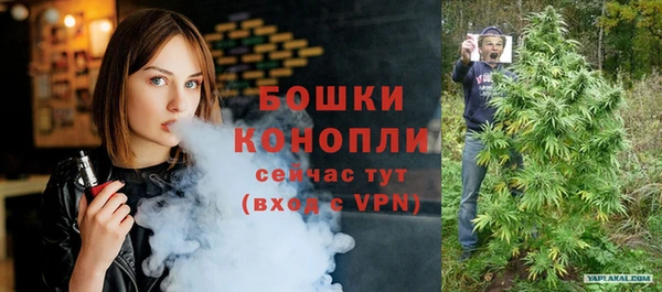 шишки Слюдянка