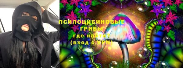 СК Мегион