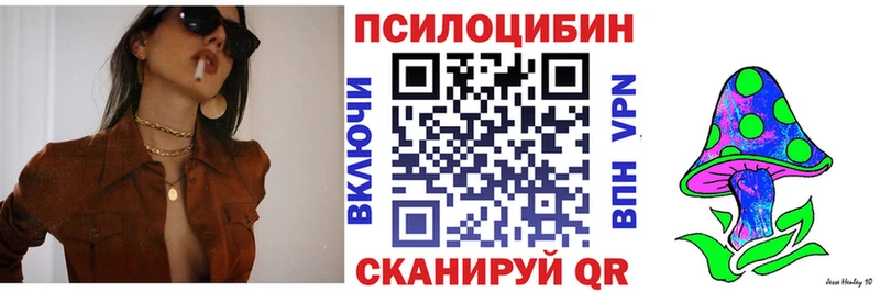 Галлюциногенные грибы Psilocybe  Сегежа 